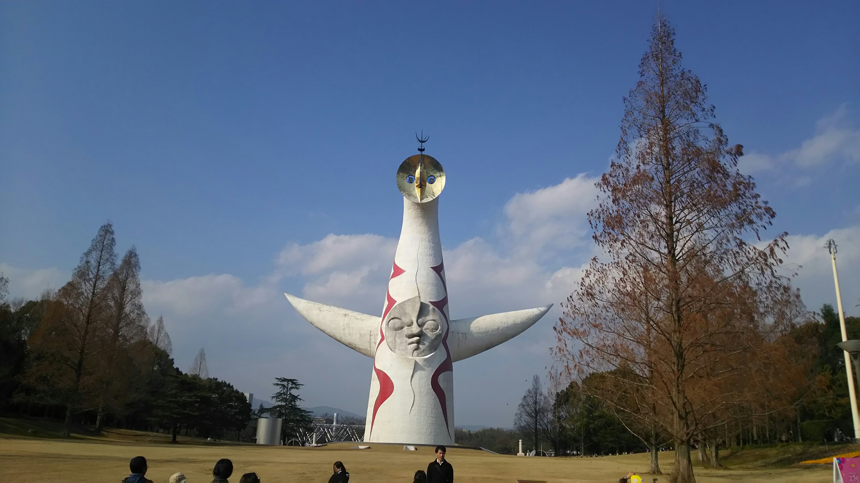 dsc_4536867688531.jpg